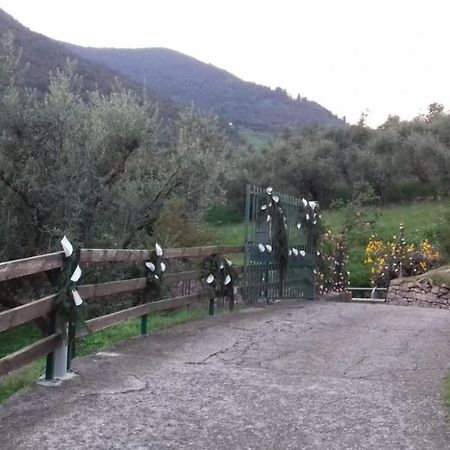 B&B Curtif Tavernola Bergamasca Εξωτερικό φωτογραφία
